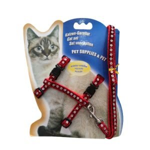 KEDI-GEZDIRME-GOGUS-TASMASI