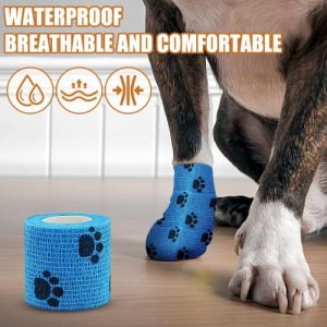 EVCİL HAYVANLARINOIZ PATİ BANDAJI