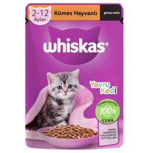 WHİSKAS YAVRU YAŞ KEDİ MAMASI